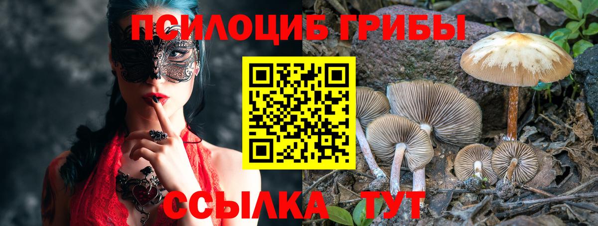 Полысаево  Галлюциногенные грибы ЛСД  Вход с VPN 